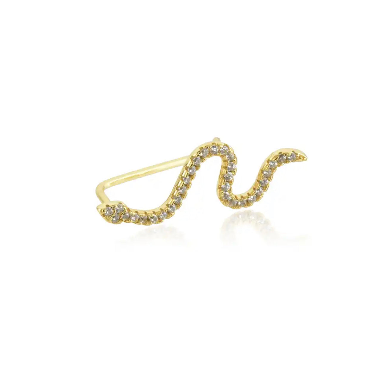Aro Trepador Serpiente