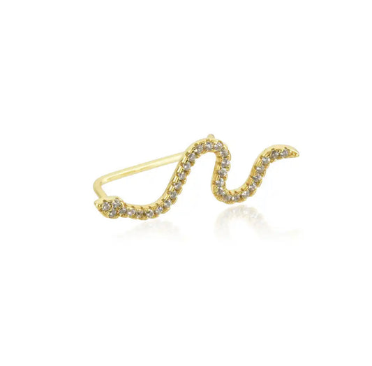 Aro Trepador Serpiente